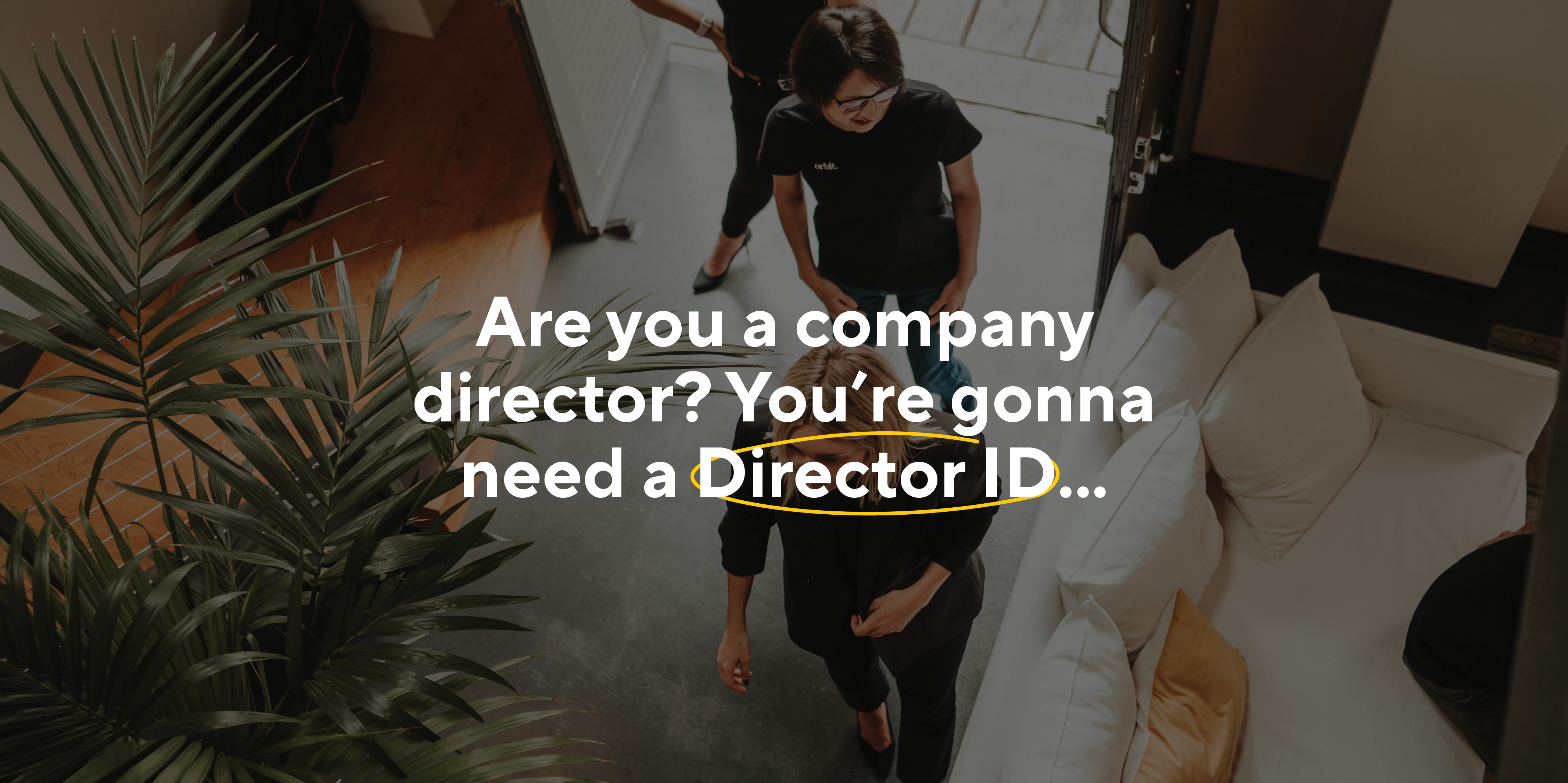 Accountants Explain How To Apply For A Director Identification Number Aka Director Id Number Or Din